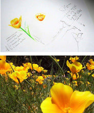 Cargar imagen en el visor de la galería, Aros Dedal de Oro