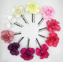 Cargar imagen en el visor de la galería, Pinche rosita