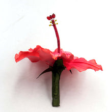 Cargar imagen en el visor de la galería, Tocado Hibisco corales