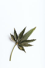 Cargar imagen en el visor de la galería, Cannabis
