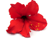 Cargar imagen en el visor de la galería, Tocado Hibisco simple