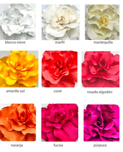 Aros Líricas monocolor