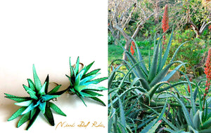 Aros Aloe