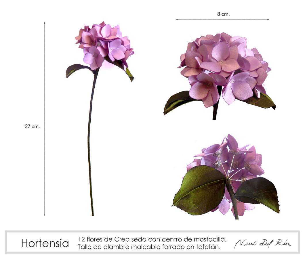 Hortensia